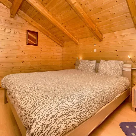Beautiful Chalet With Sauna Near Forest In 杜柏